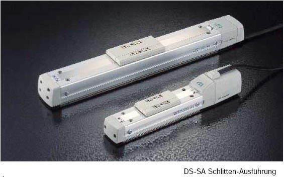 DS-SA Schlitten-Ausfhrung